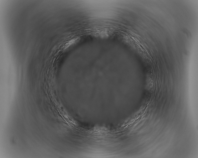 X0000112361297200908131446
