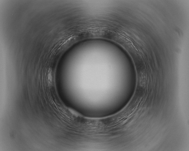 X0000112361298200908131446