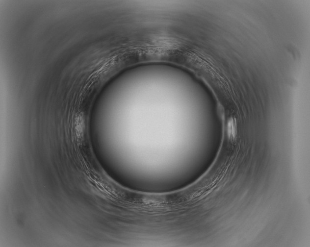 X0000112361299200908131446