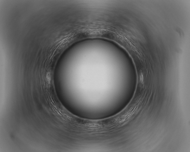 X0000112361300200908131446