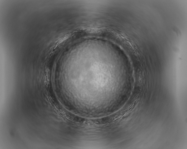X0000112361301200908131446