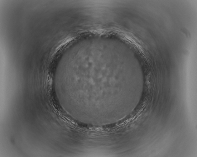 X0000112361302200908131446