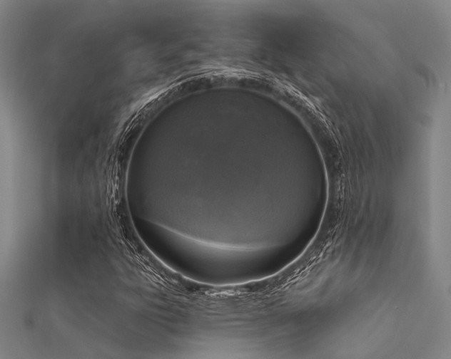 X0000112361303200908131446
