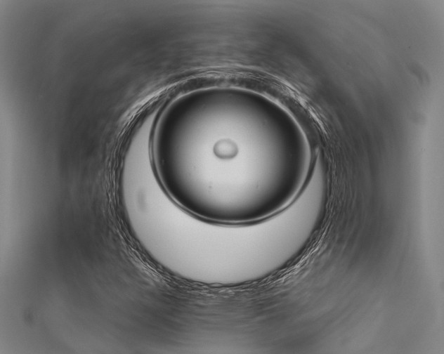 X0000112361304200908131446