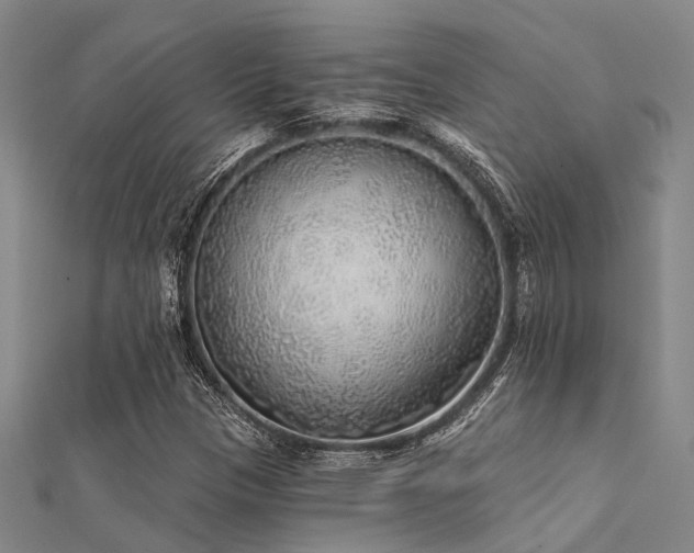 X0000112361305200908131446