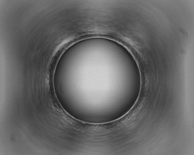 X0000112361307200908131447