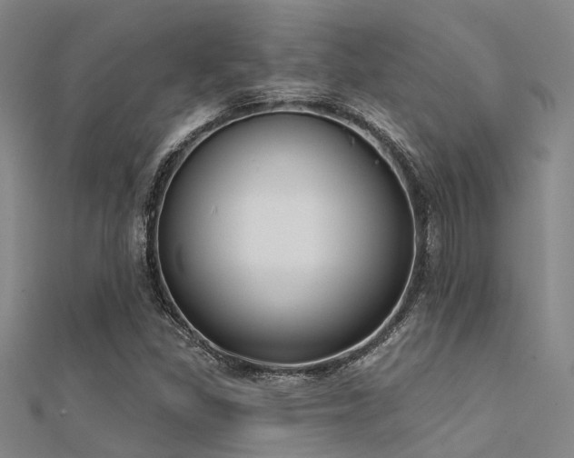 X0000112361309200908131447