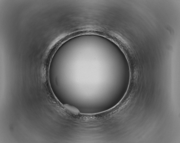 X0000112361310200908131447