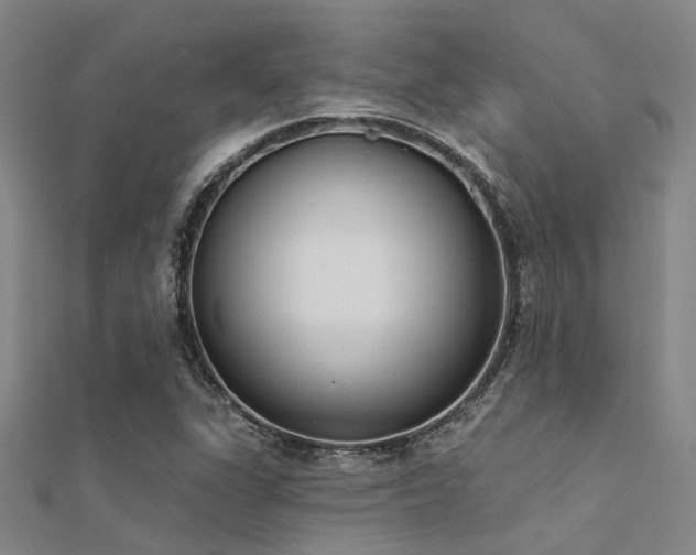 X0000112361311200908131447