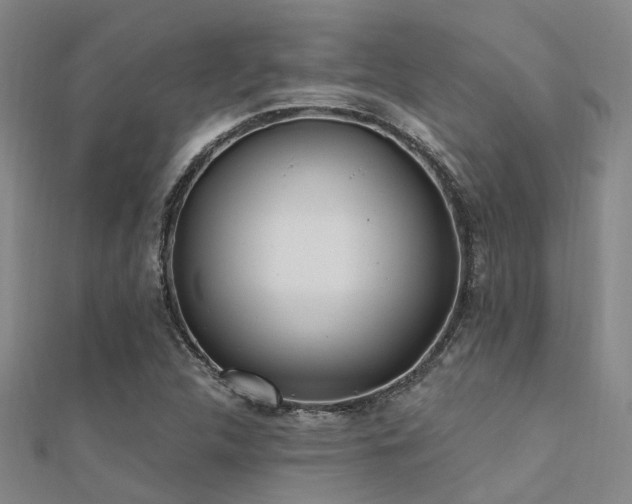 X0000112361312200908131447