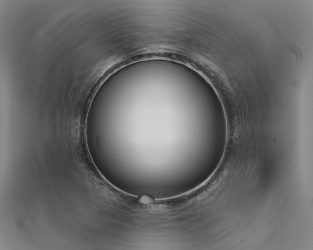 X0000112361313200908131447