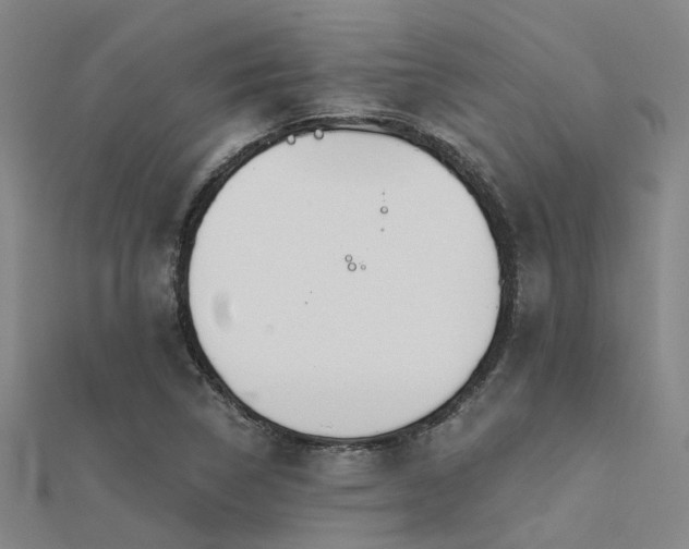 X0000112361314200908131447