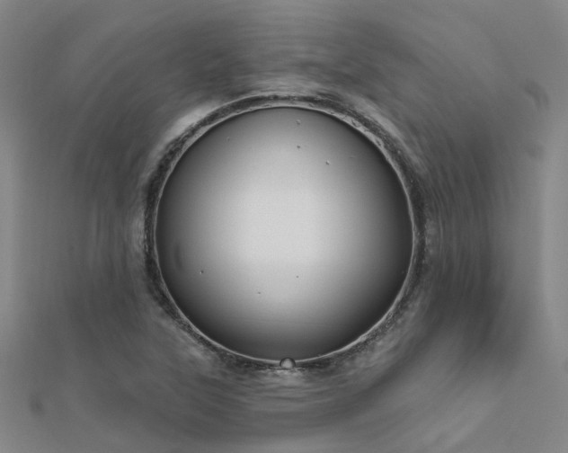 X0000112361315200908131447