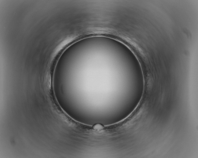 X0000112361317200908131447