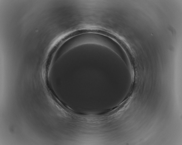 X0000112361319200908131447