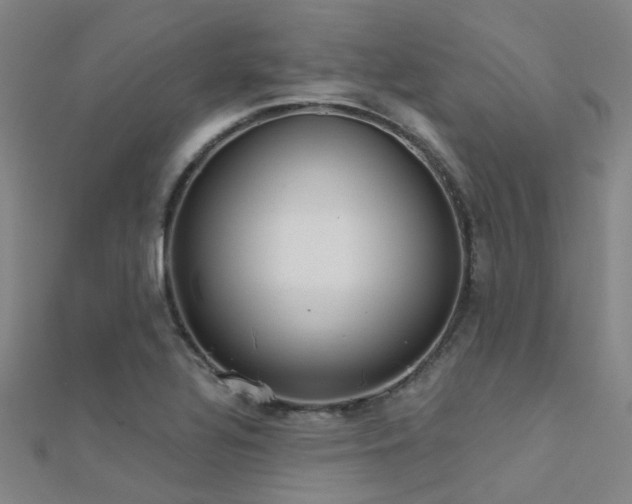 X0000112361320200908131447