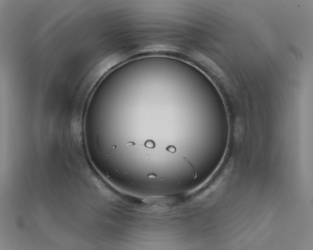 X0000112361321200908131447