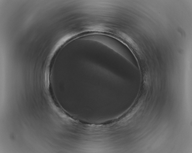 X0000112361323200908131447