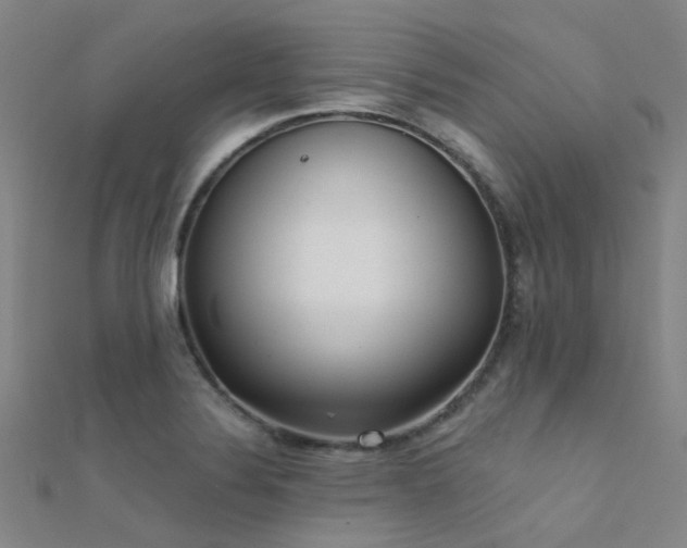 X0000112361324200908131447