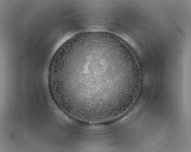 X0000112361325200908131447