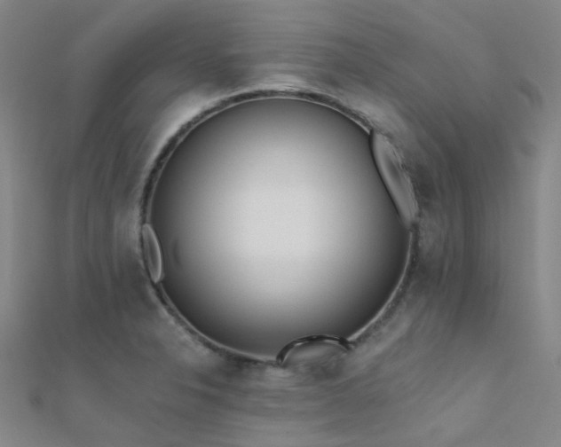 X0000112361326200908131447