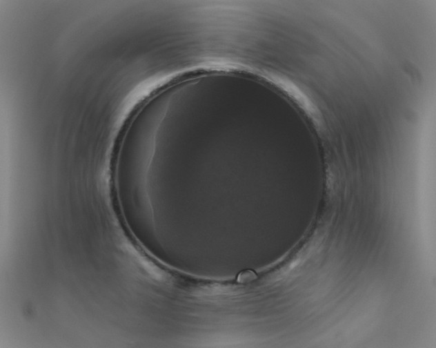 X0000112361327200908131447