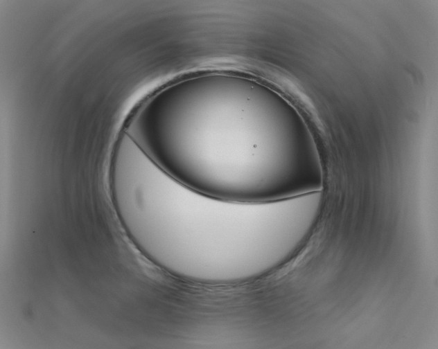 X0000112361328200908131447