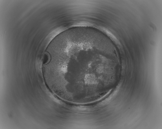 X0000112361329200908131447