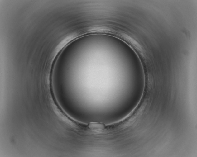 X0000112361330200908131447