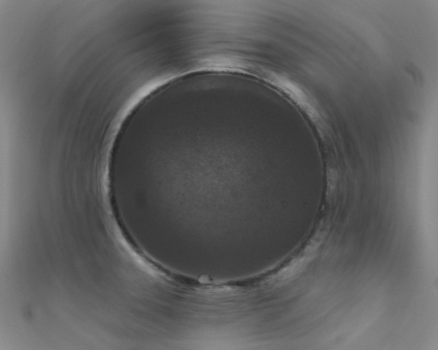 X0000112361331200908131447