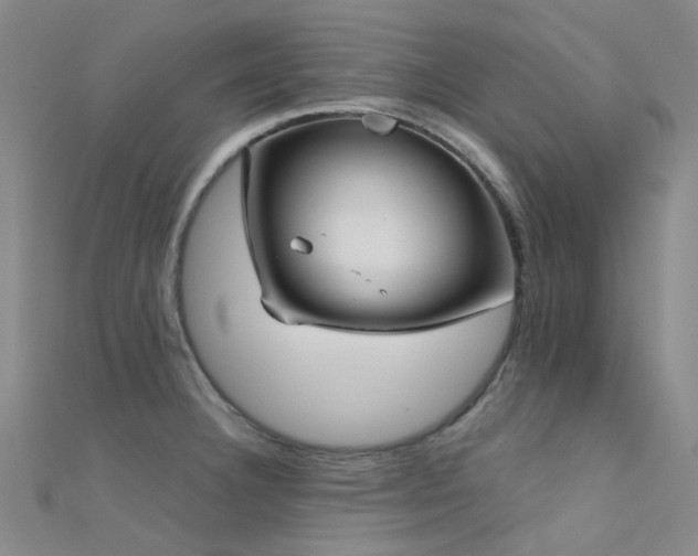 X0000112361332200908131447