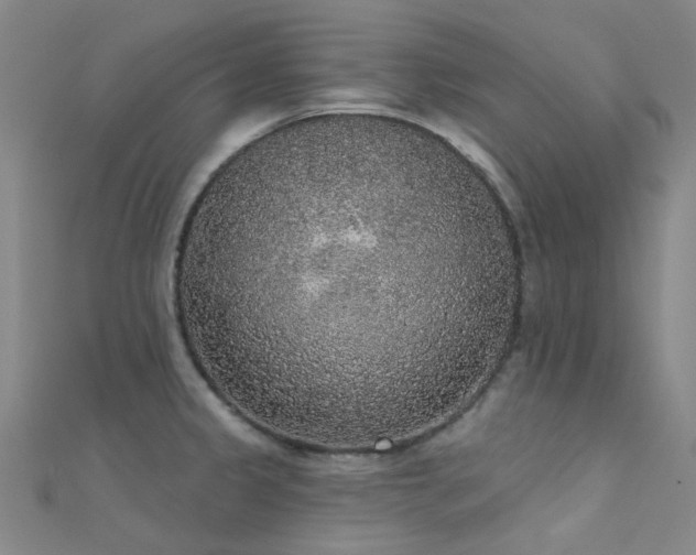 X0000112361333200908131447