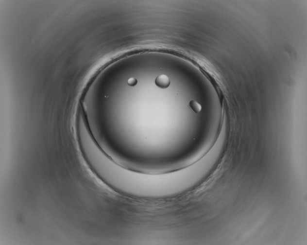 X0000112361334200908131447