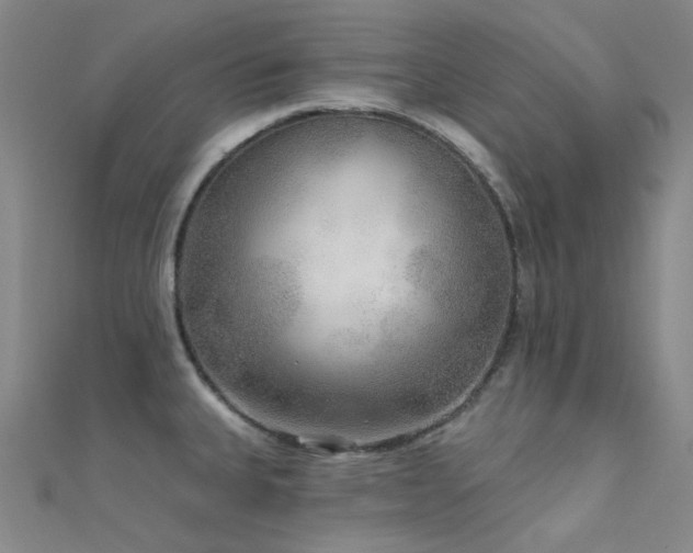 X0000112361335200908131447