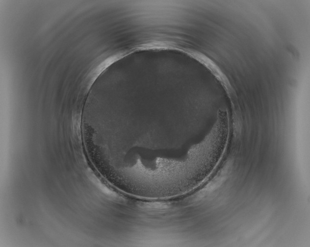 X0000112361337200908131447