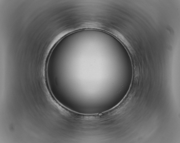 X0000112361339200908131447