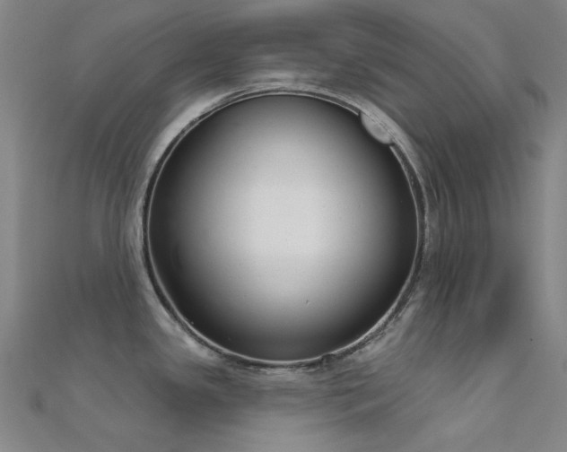 X0000112361341200908131447