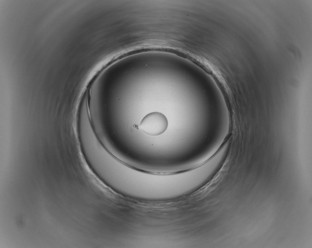 X0000112361342200908131447