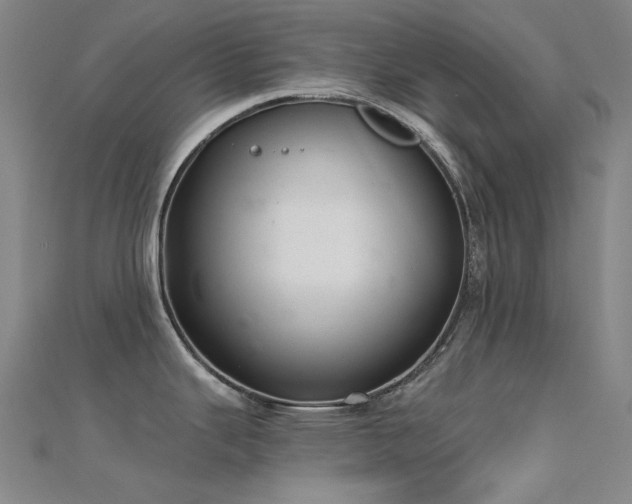 X0000112361343200908131447