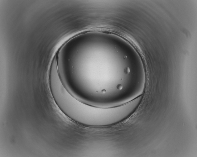 X0000112361344200908131447