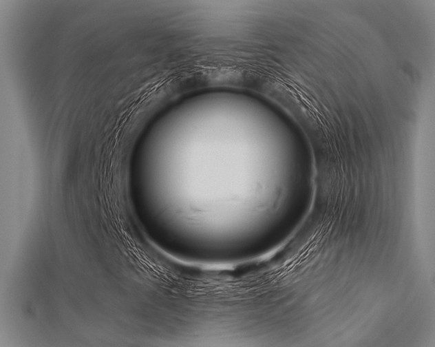 X0000112361345200908131446
