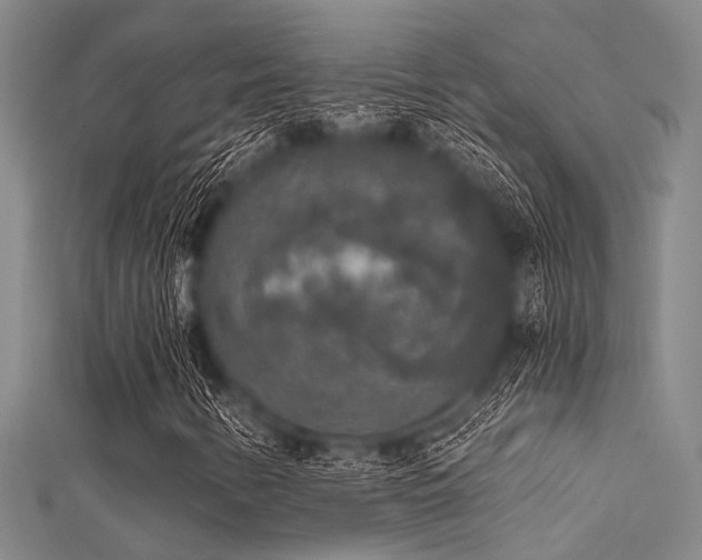 X0000112361346200908131446