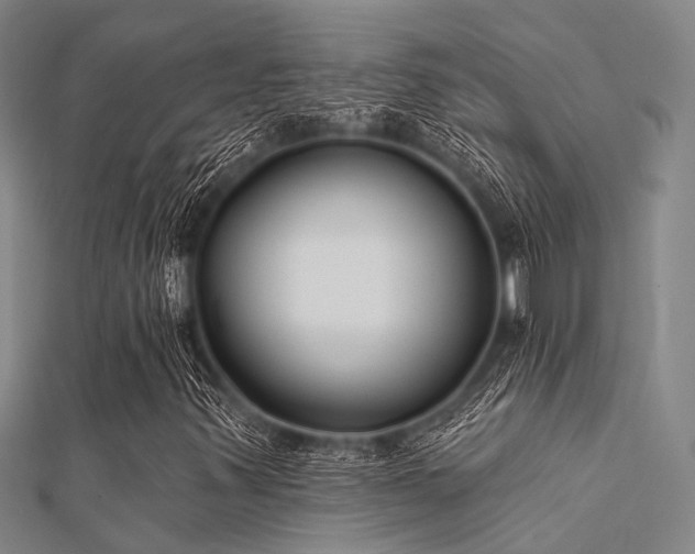 X0000112361347200908131446