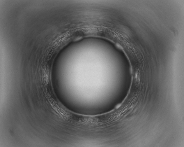 X0000112361348200908131446