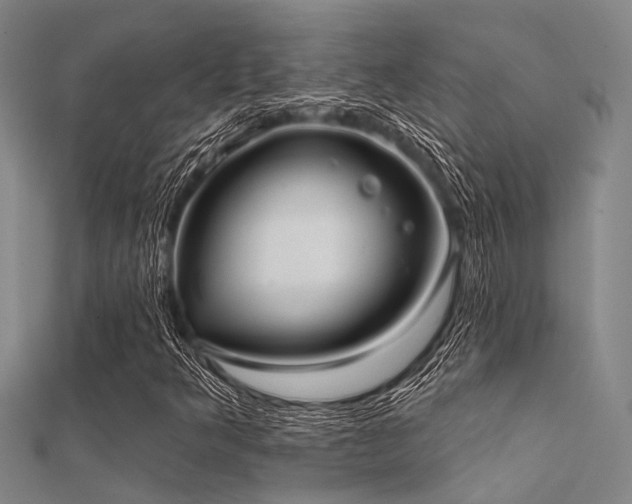 X0000112361349200908131446