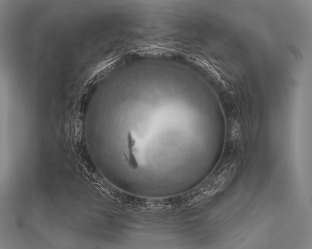 X0000112361350200908131446