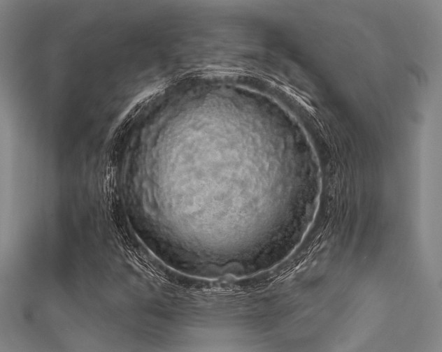 X0000112361351200908131446