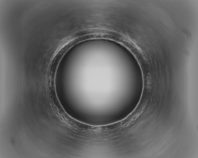 X0000112361352200908131446