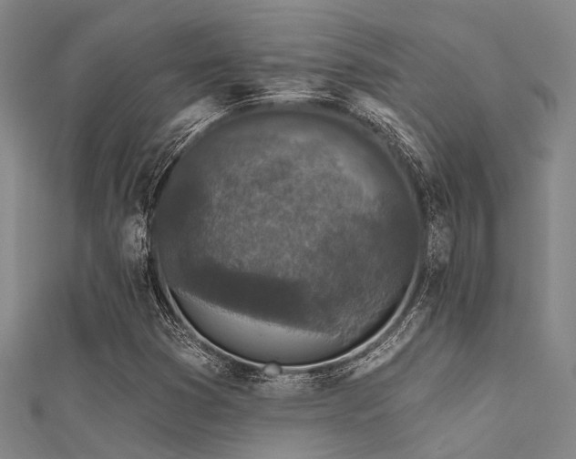 X0000112361353200908131446