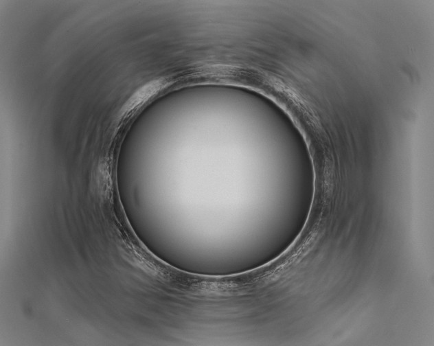 X0000112361354200908131446